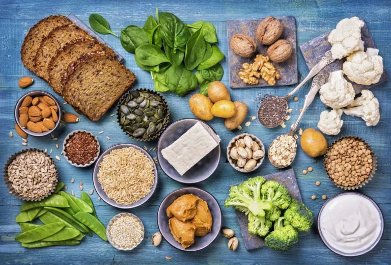 Les différents régime alimentaires