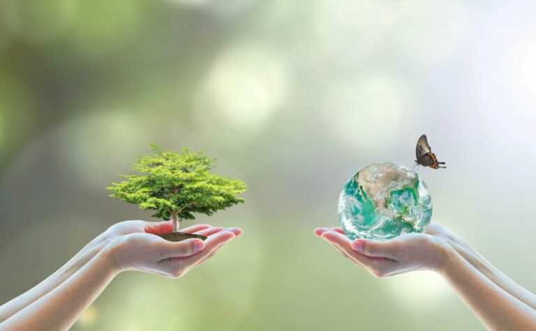 Actes au quotidien pour l’environnement et les animaux